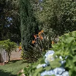 Nyaraló Casa Costaneira