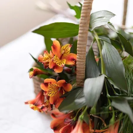 Casa Costaneira * Boiro