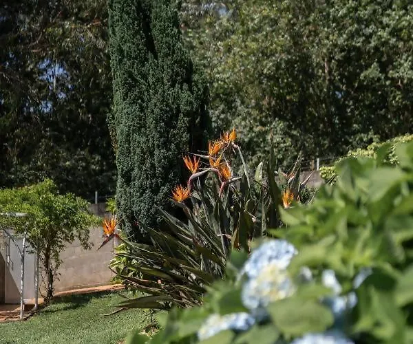 Ferienhaus Casa Costaneira